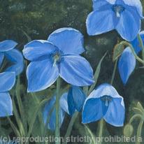 Blue Rhapsody