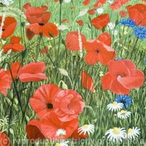 Poppyfield