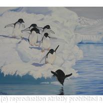 Chilly Dippers