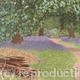 Bluebell Walk