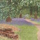 Bluebell Walk