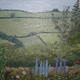 Shropshire Garden