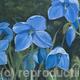 Blue Rhapsody
