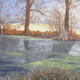 Frosty November Morning