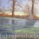 Frosty November Morning