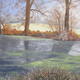 Frosty November Morning