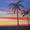 Tropical Skies