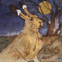 the midnight hare