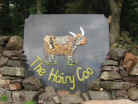 Hairy Coo sign