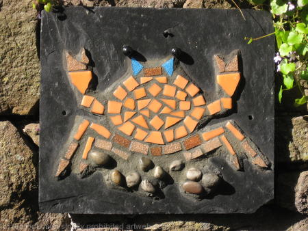 Crab on slate
