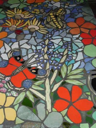 Flowers  Butterflies