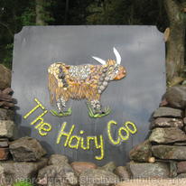 Hairy Coo sign
