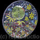 Midnight Garden Mirror