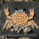 Crab on slate
