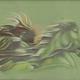 Dark hourseman | £350 | 40 x 60cm | watercolours,soft pastels Dark hourseman