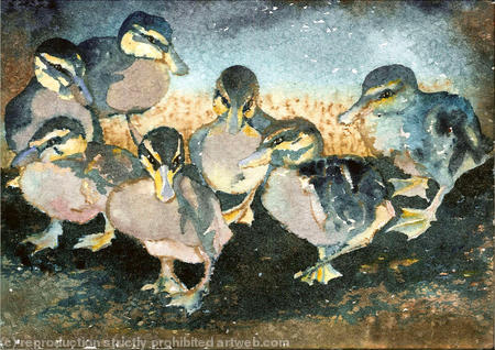 Ann Macdonald Midnight Waddle