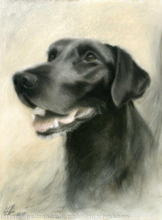 Pip