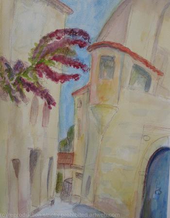 Bougainvillea, Pézenas