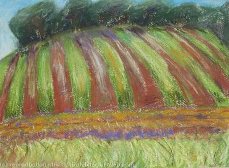 Stripy Field