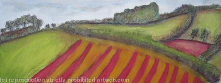 Furrowed Field