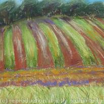 Stripy Field