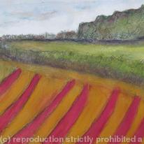 Furrowed Field