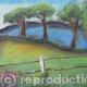 Blue Field At Mannington