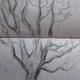 Old Tree