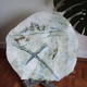 Porcelain Hollow Dish…