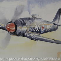 sea fury