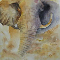 Bull Elephant 2