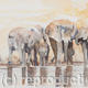 elephant watering hole | £225(sold) | | Watercolour elephant watering hole