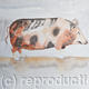 The Old Berkshire | £150(sold) | | watercolour The Old Berkshire