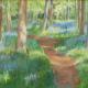 Bluebell Wood 2