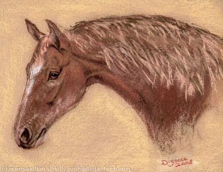 HORSEs HEAD - Warleggan