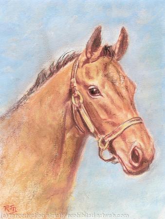 Horse head study