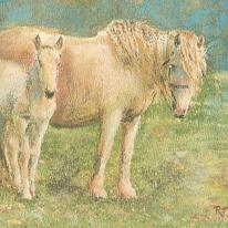 Grey Pony and Foal