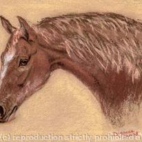HORSEs HEAD - Warleggan