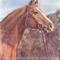 Proud Chestnut