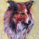 My Pal Sheltie - Acrylics…