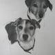Lilie and Rosie | (sold) | 35 x 45cm | Pencil Lilie and Rosie