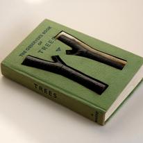 June Kingsbury; Emilys Dream II (Book of Trees)