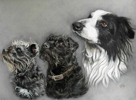 The Dogs