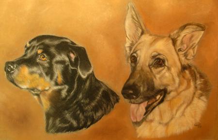 Rosie and Zed