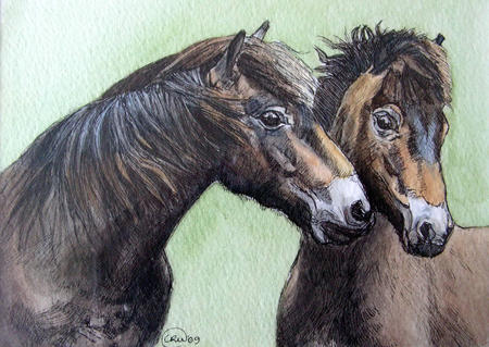 Exmoor Ponies