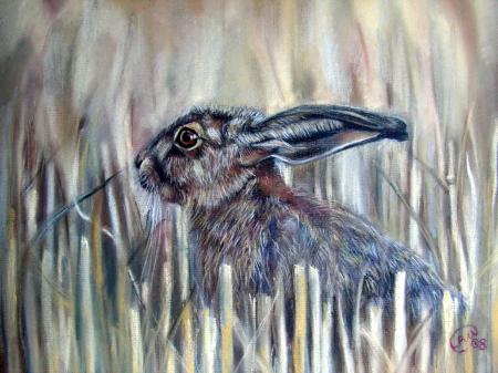 Leveret in the Stubble