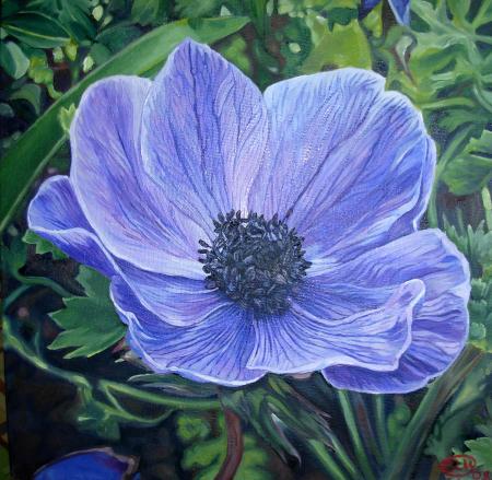 Anenome