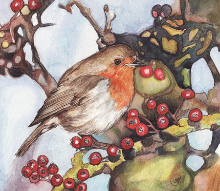 Robin with Berries