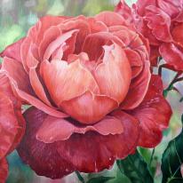 Roses