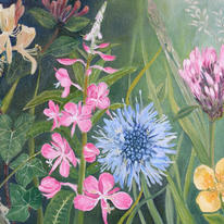 Hedgerow